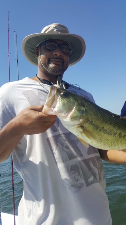 Summer 2018 Summer 2018