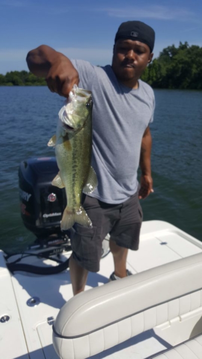 Summer 2018 Summer 2018